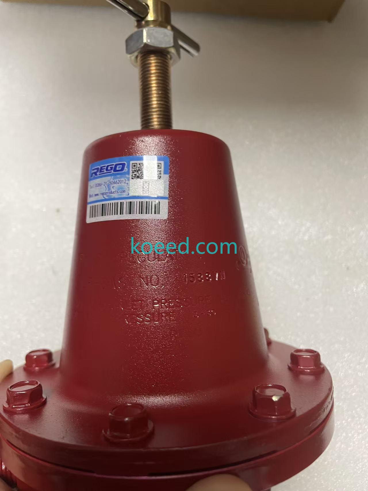 REGO 1588VN - Koeed Fashion View